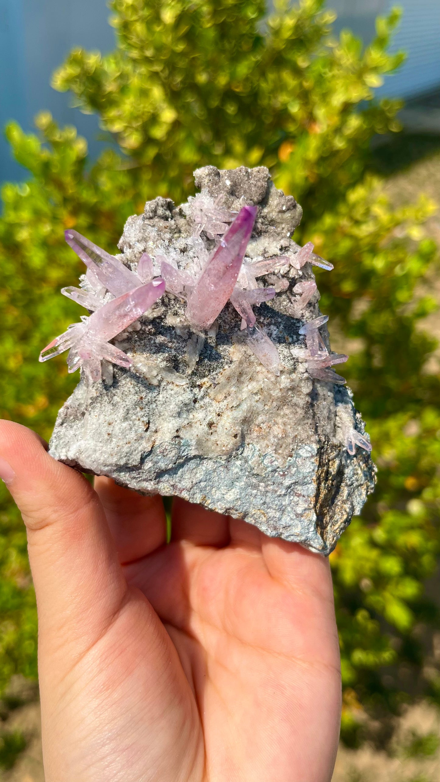 0.1KG Pure Natural Cruz Amethyst Raw Crystal Specimen