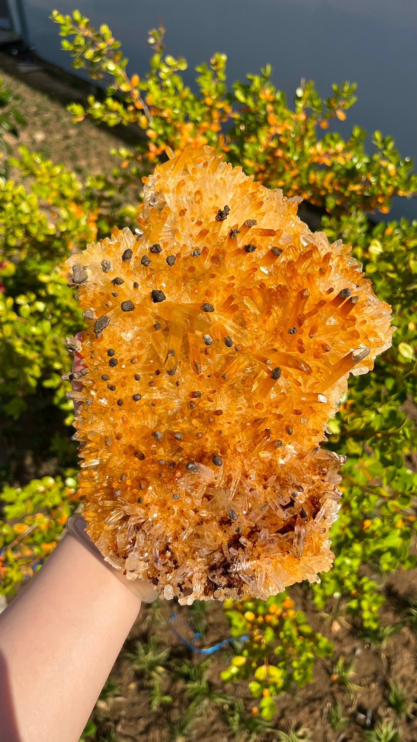 1.75KG Mango Citrine Cluster Natural Raw Crystal Specimen