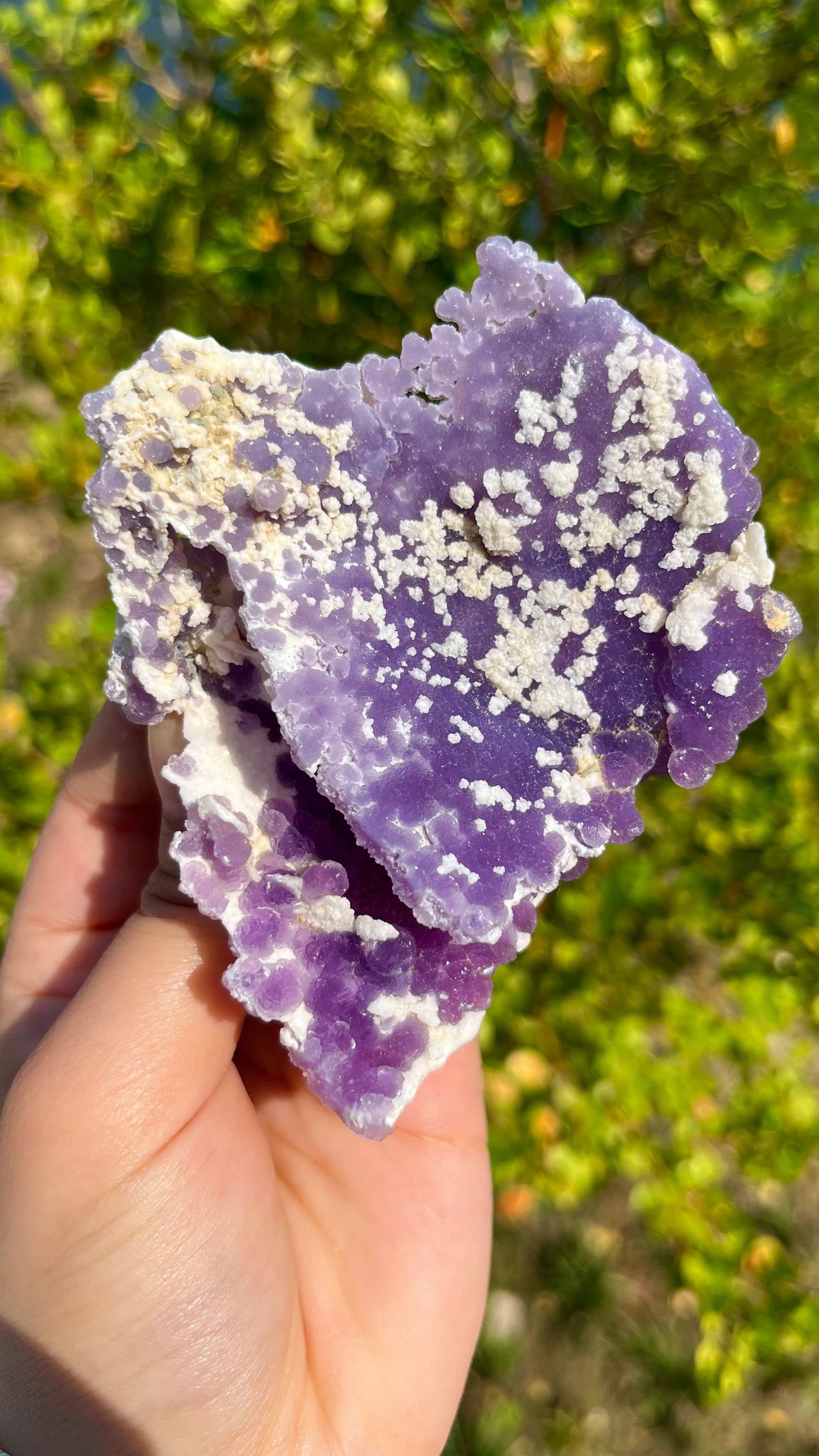 0.1KG Natural Grape Agate Raw Mineral Specimen