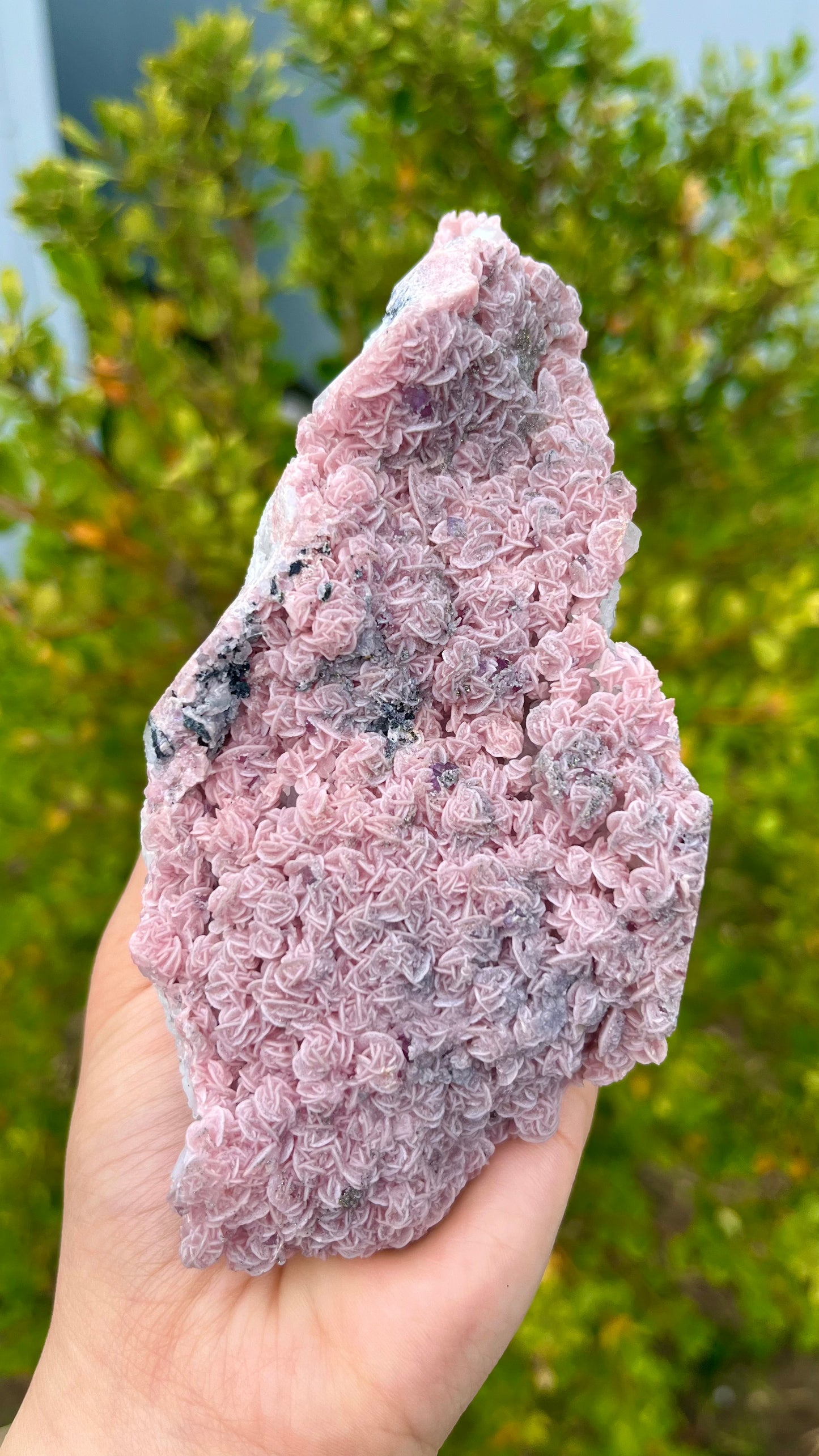 0.3KG Natural Rose Shape Rhodochrosite Mineral Specimen