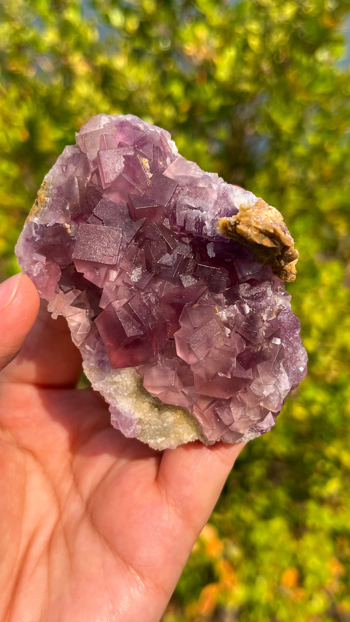 0.1KG Natural Purple Fluorite Raw Mineral Specimen