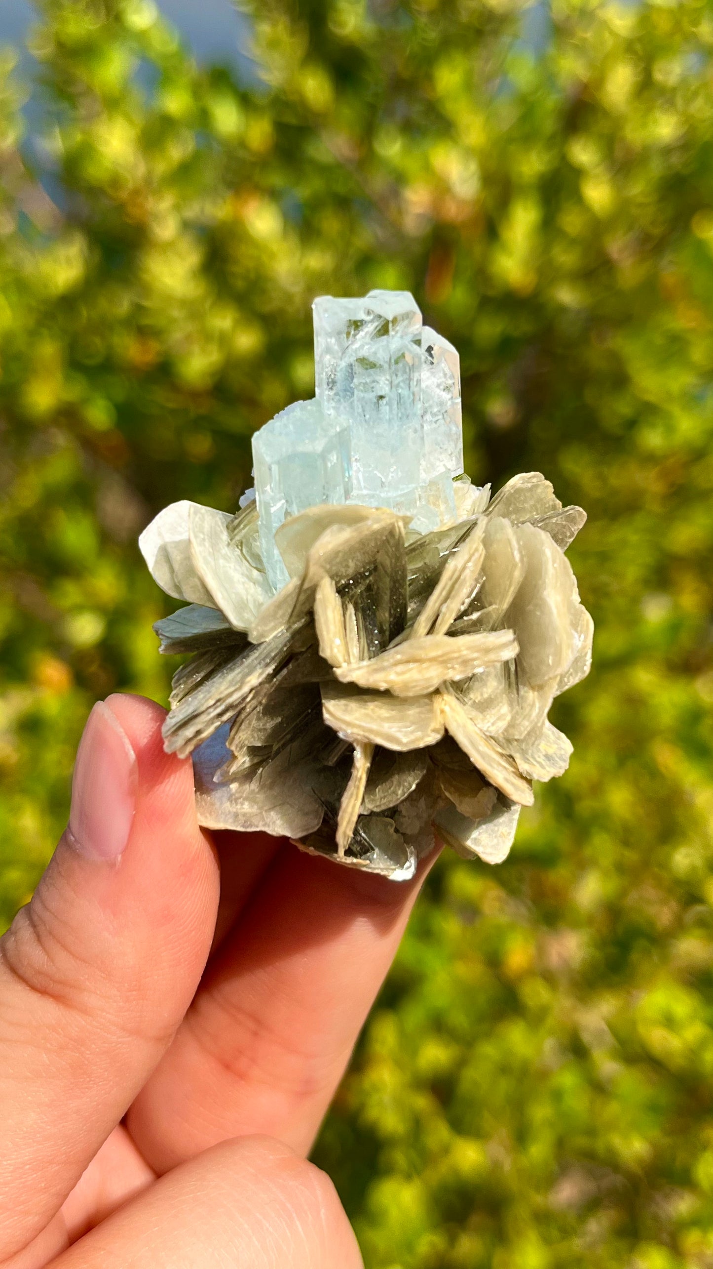 Natural Aquamarine Symbiotic Mica Mineral Specimen