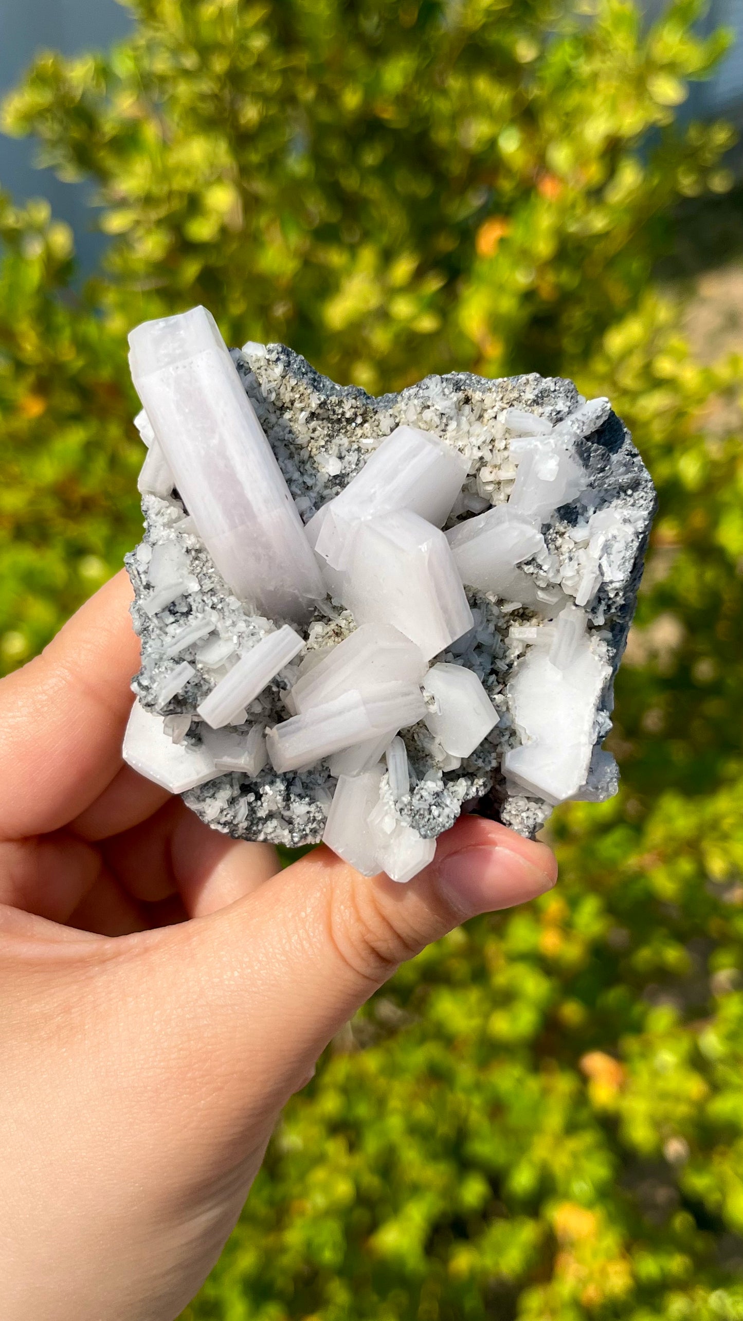 Special Shape Biscuit Calcite 0.1kg Natural Healing Stone