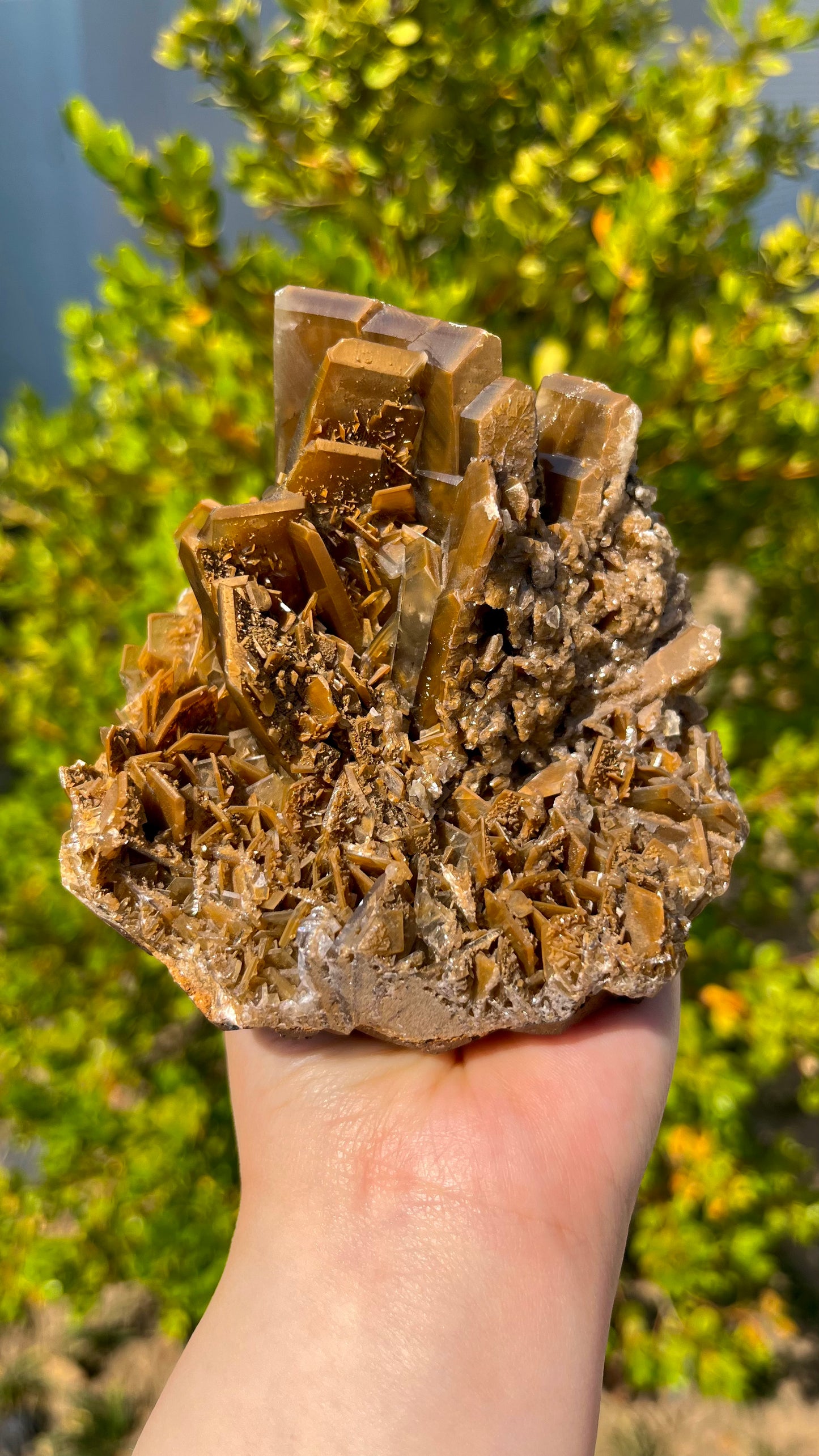 Natural Raw Yellow Barite Cluster 0.8KG Spiritual Decor