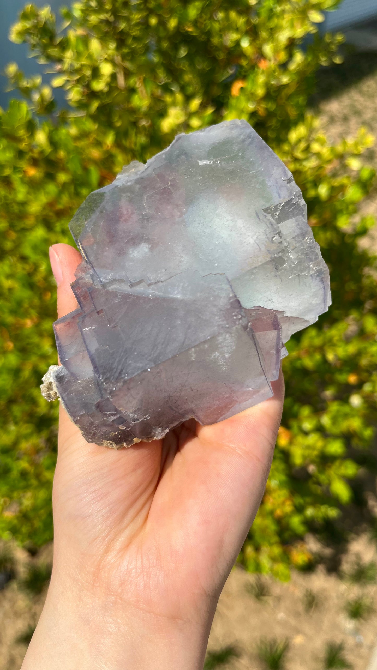0.5KG Natural Cubic Blue Fluorite Raw Crystal Mineral Specimen