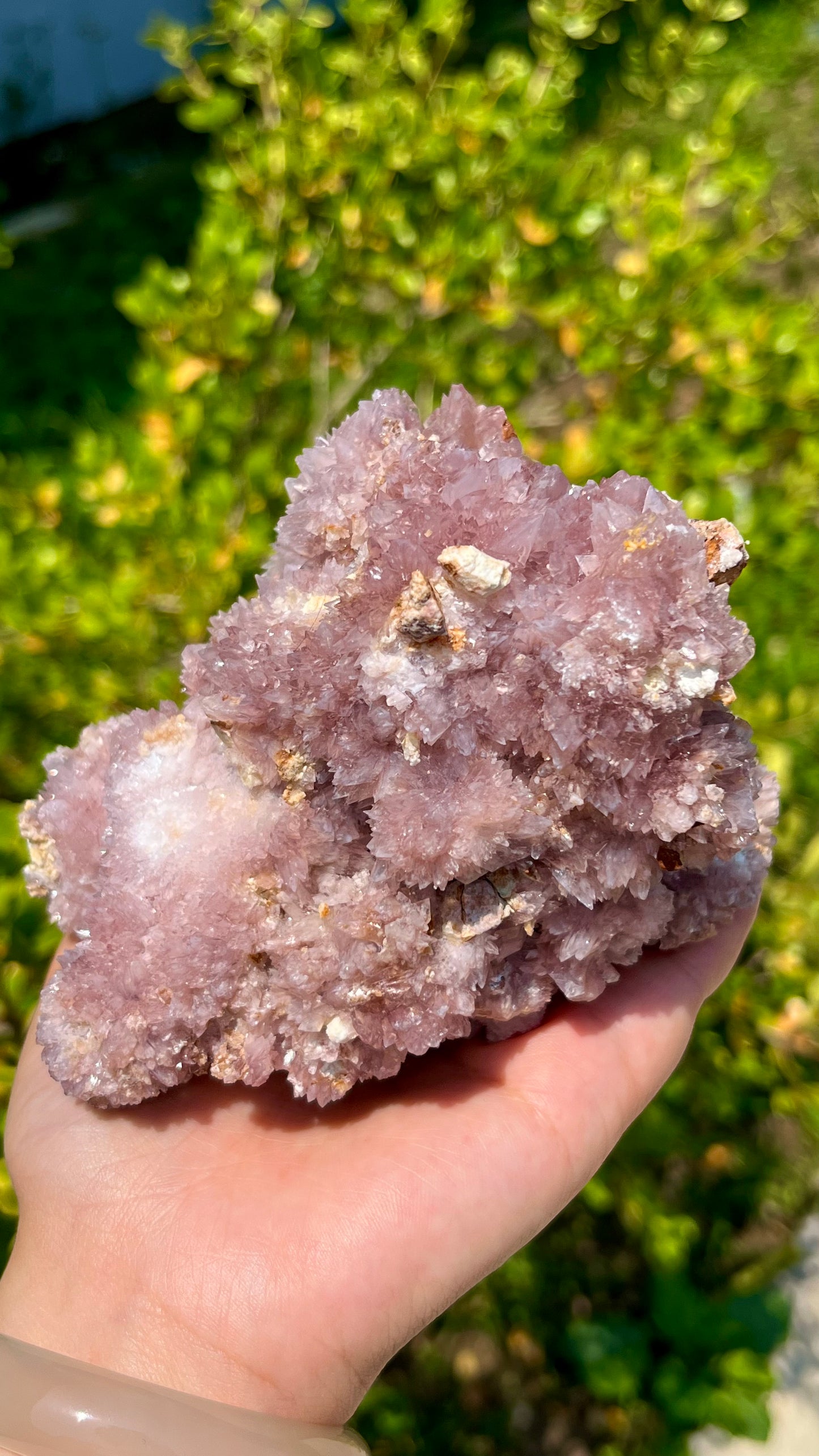 0.7KG South Africa Cactus Amethyst Raw Specimen