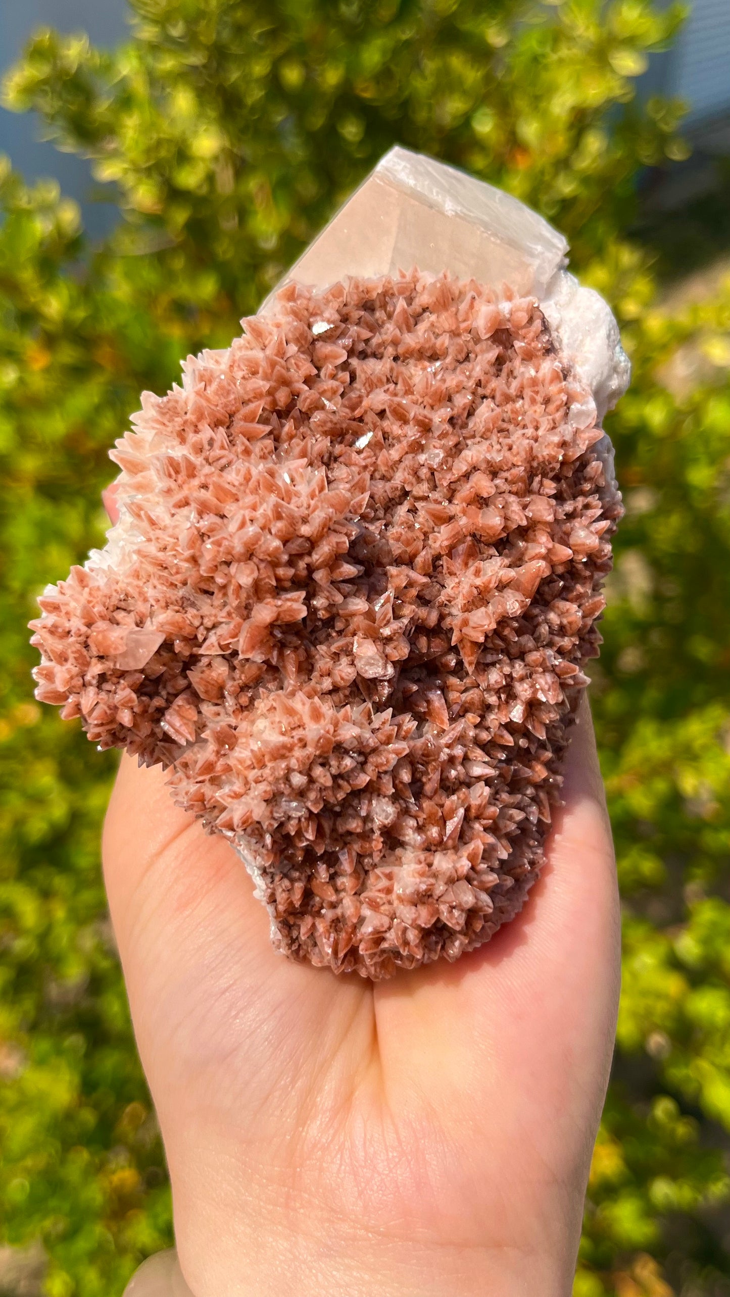 0.2KG Natural Pink Calcite Raw Mineral Specimen