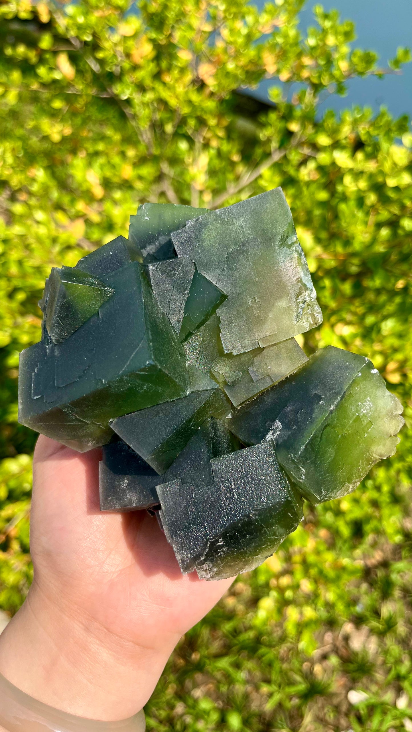 0.7kg Dark Green Cubic Step-shaped Fluorite Specimen