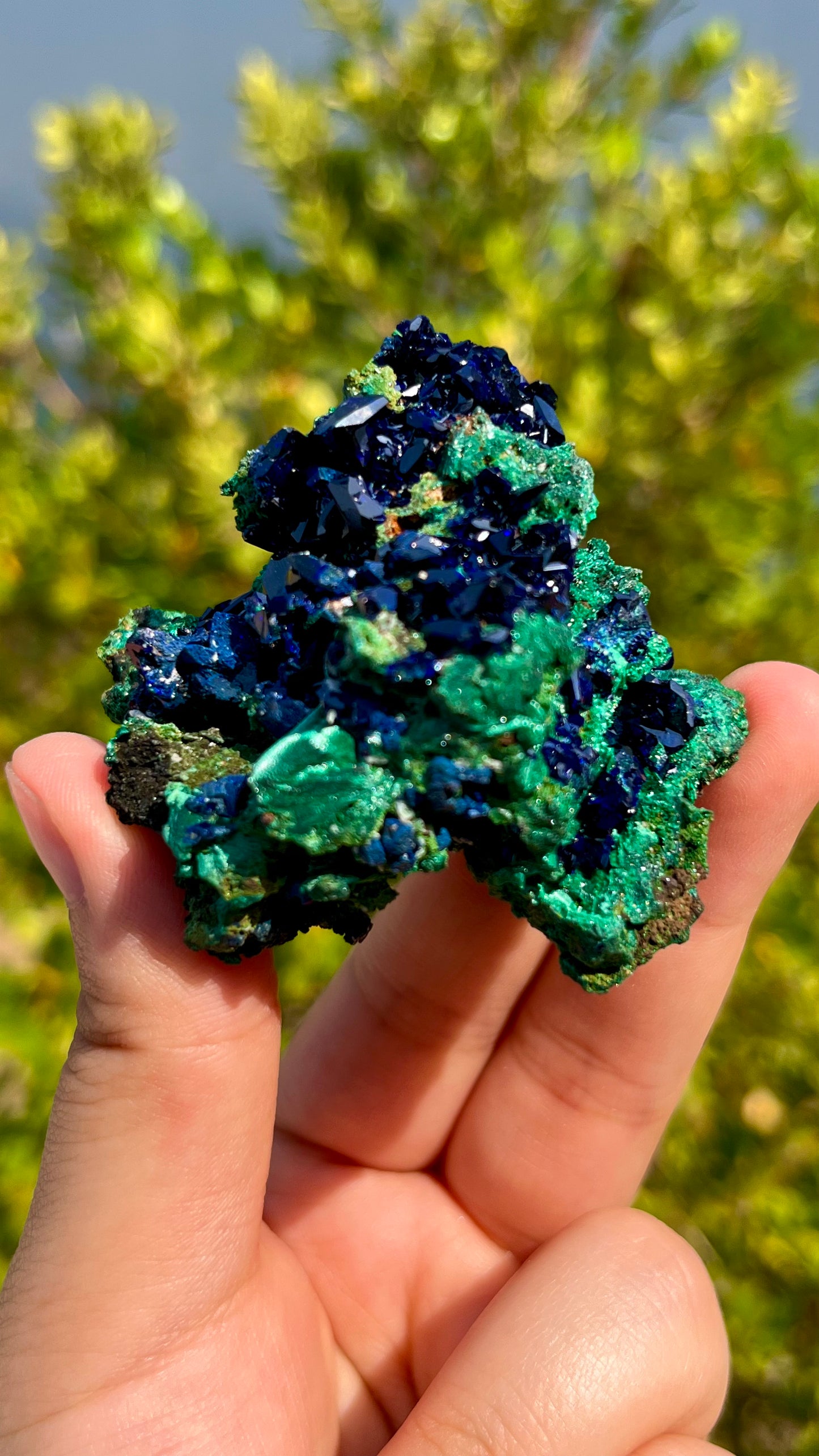 0.1KG Premium Azurite Symbiotic Malachite Mineral Specimen