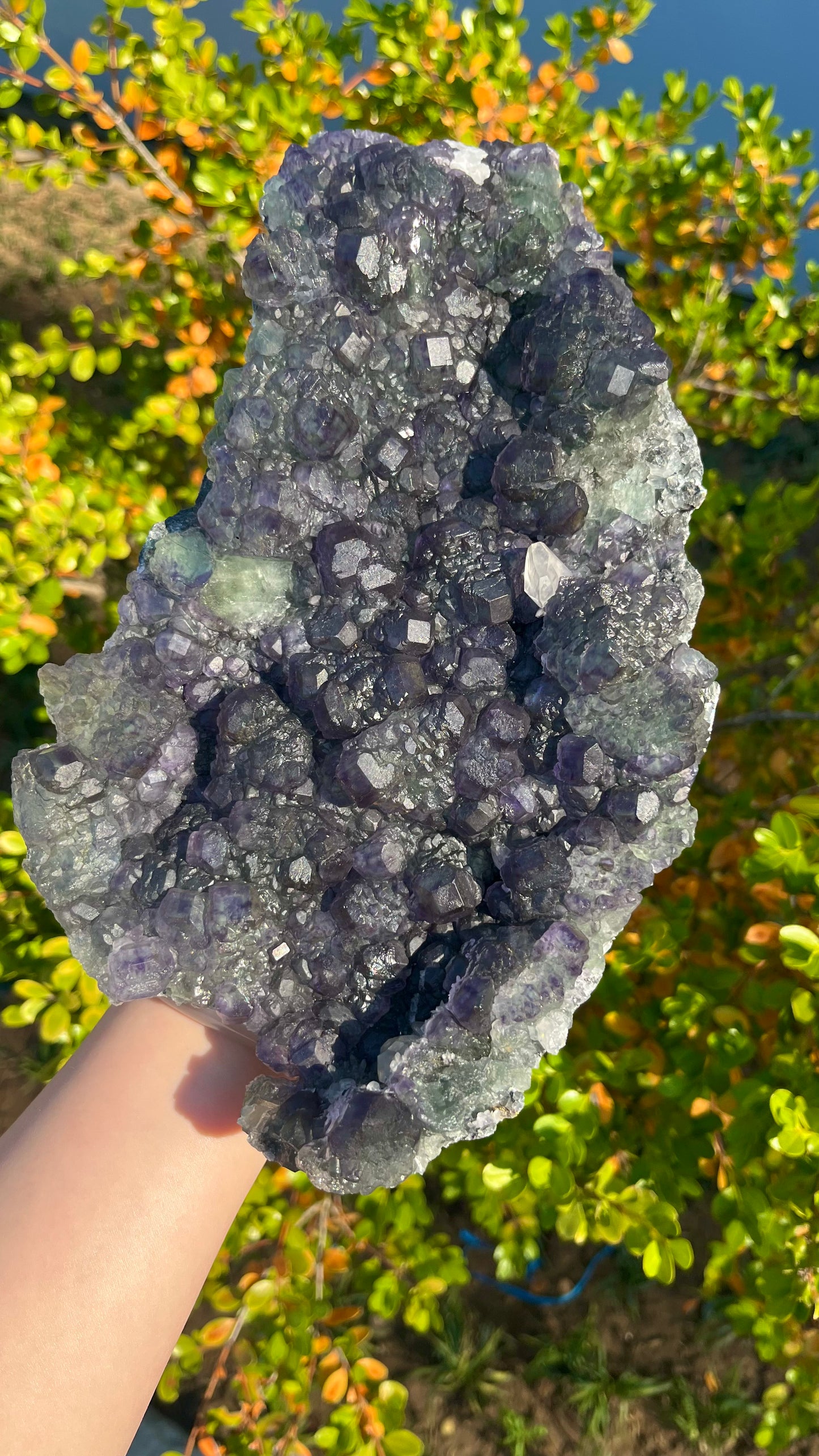 2.7KG Natural Bicolor Purple Green Fluorite Raw Crystal Specimen