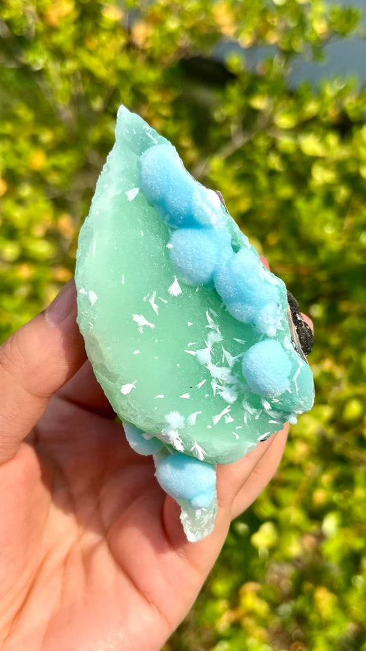 0.1KG Natural Hematite Intergrowth Blue Lace Stone Specimen