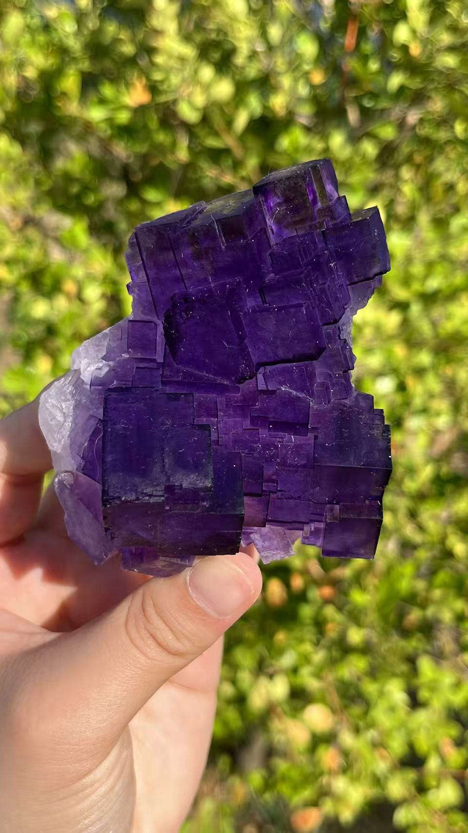 0.3KG Natural Purple Fluorite Raw Mineral Specimen