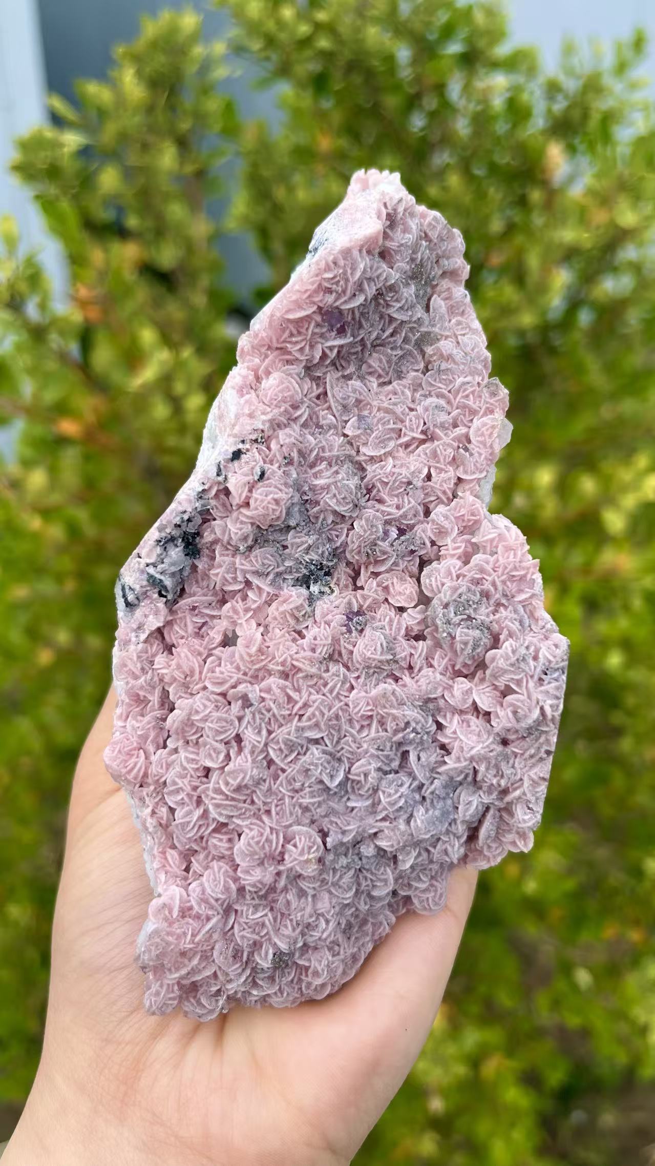 0.3KG Natural Rhodochrosite Specimen From Guangxi China