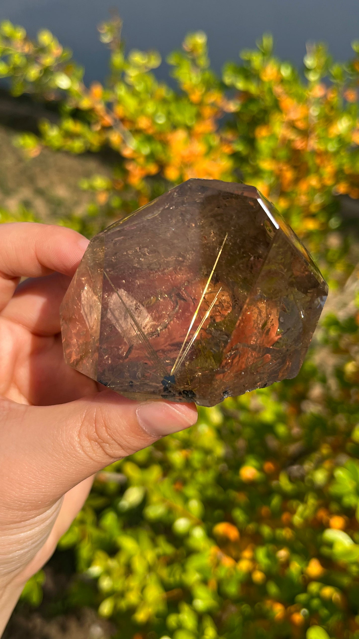 0.2KG Natural Rutilated Quartz Raw Crystal High Grade Mineral Specimen