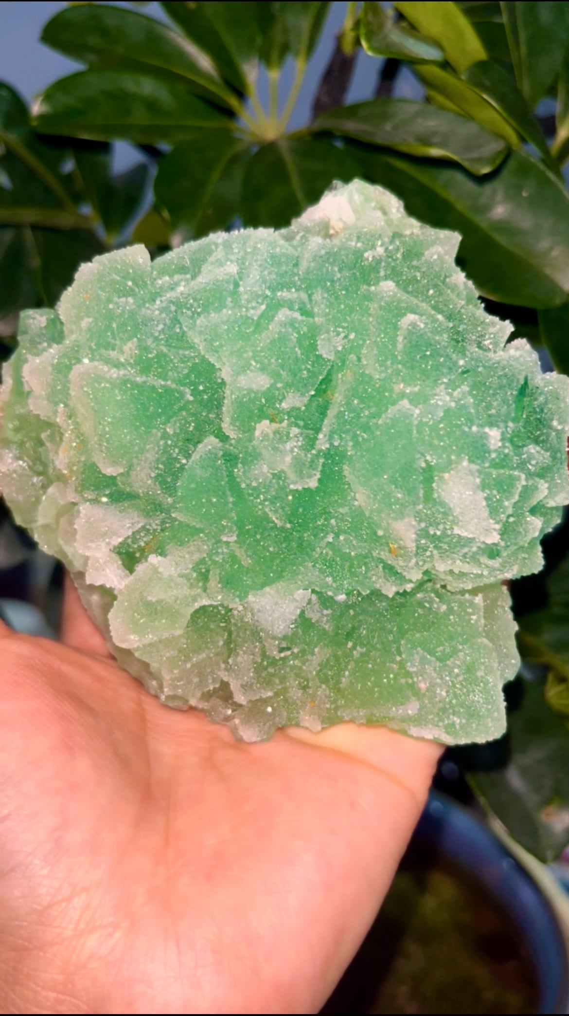 0.4KG Natural Sugar Green Fluorite Raw Mineral Specimen