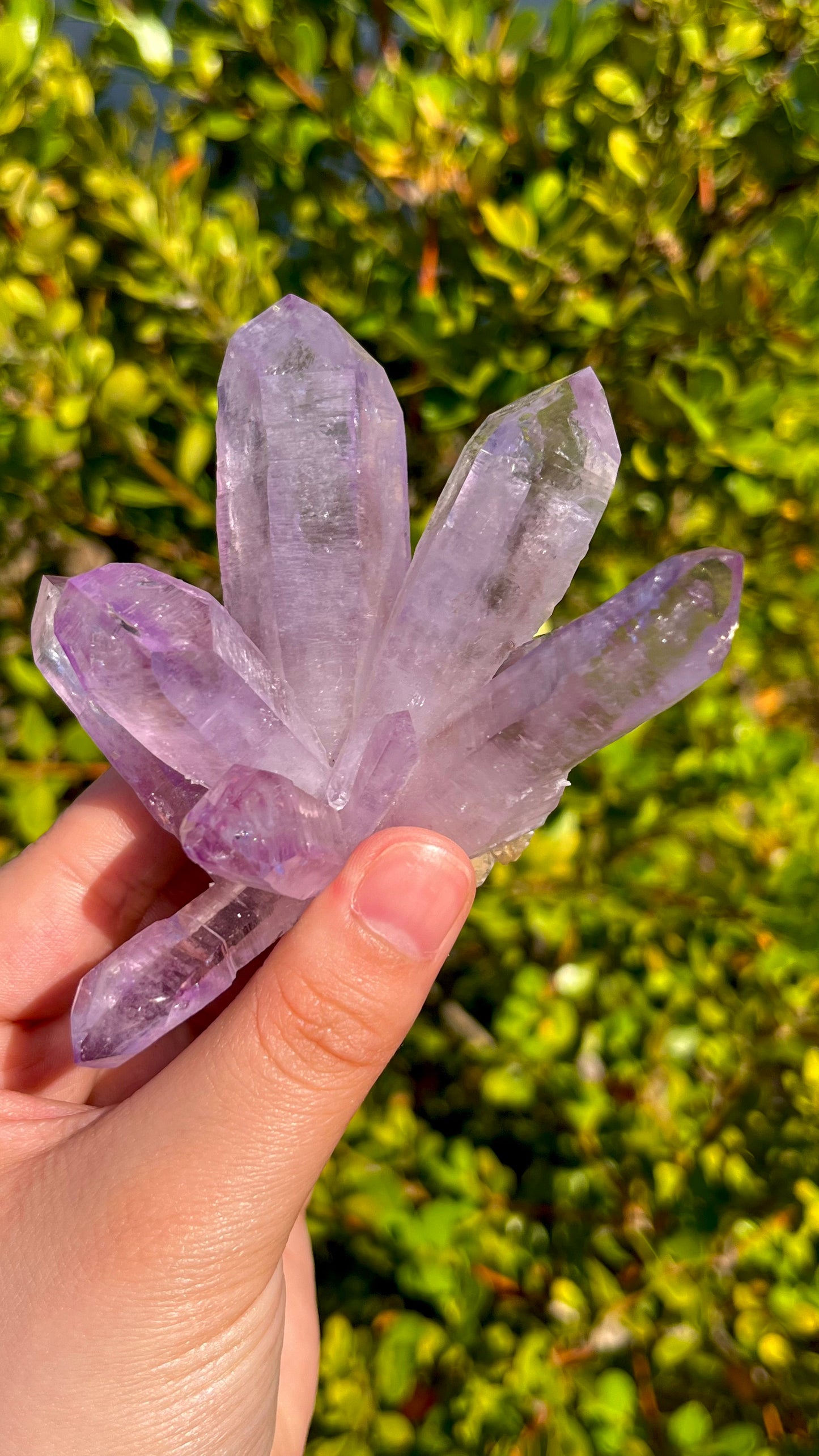 Natural Transparent Cruz Amethyst High Clarity Raw Crystal Specimen