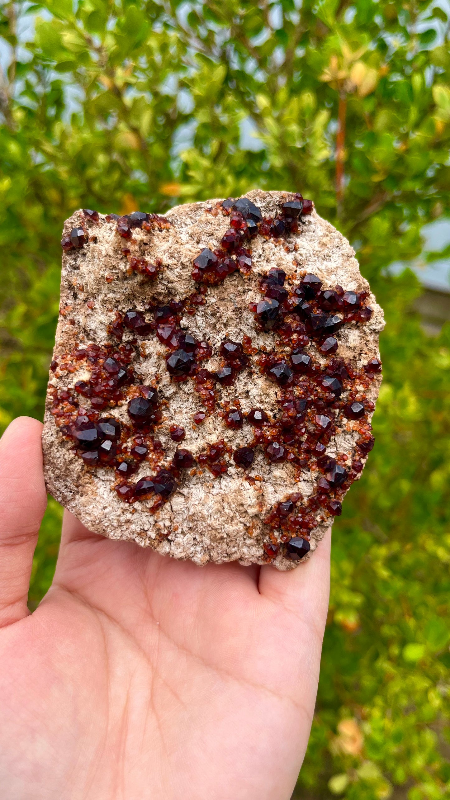 0.2KG Natural Garnet Cluster Raw Mineral Specimen
