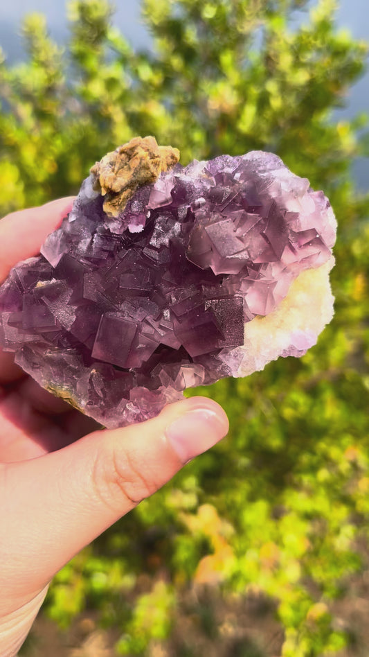 0.1KG Natural Purple Fluorite Raw Mineral Specimen