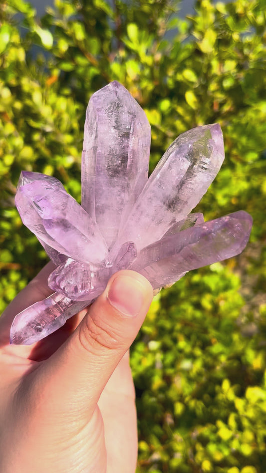 Natural Transparent Cruz Amethyst High Clarity Raw Crystal Specimen