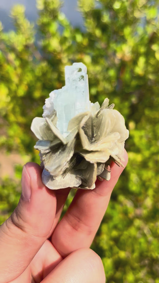 Natural Aquamarine Symbiotic Mica Mineral Specimen