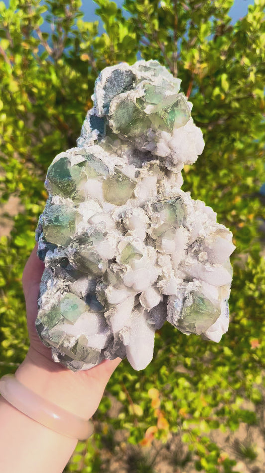 1.4KG Natural Fujian Green Fluorite Symbiotic Muscovite Mineral Specimen