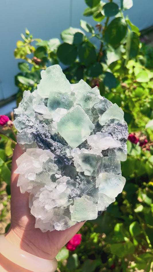 - 0.9KG Natural Green Fluorite Cluster Mineral Specimen
