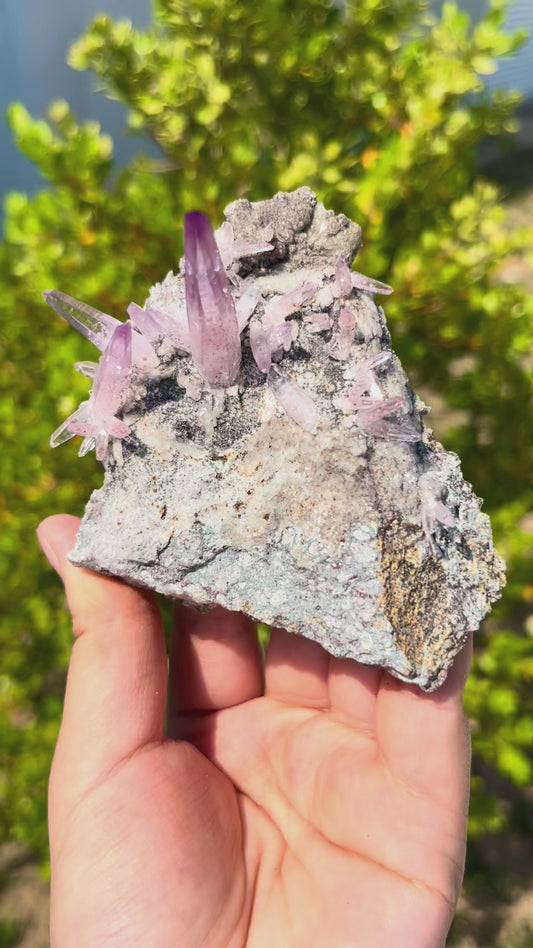 0.1KG Pure Natural Cruz Amethyst Raw Crystal Specimen