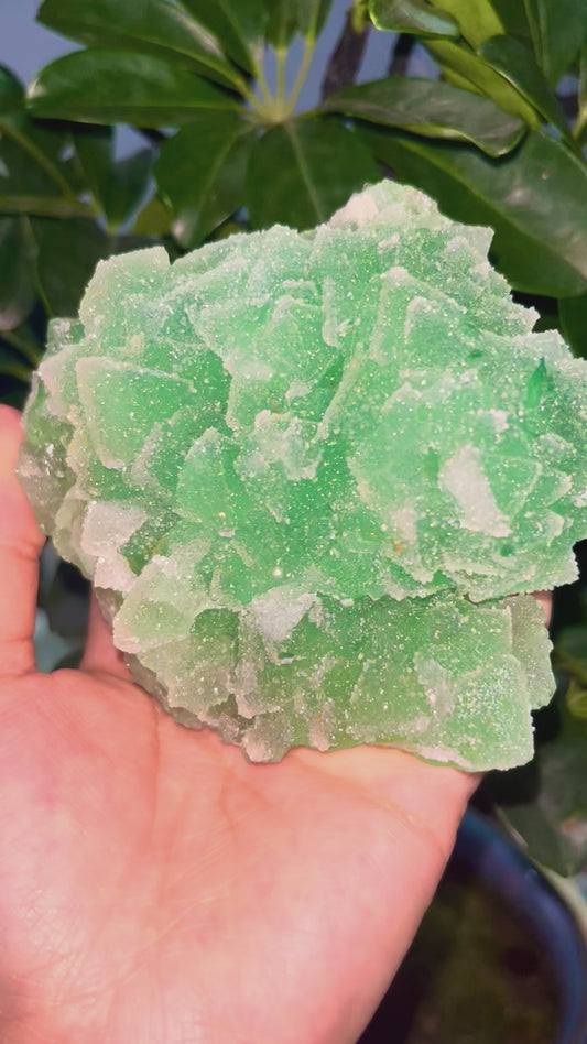 0.4KG Natural Sugar Grain Green Fluorite Specimen
