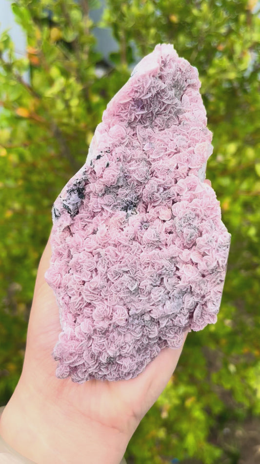 0.3KG Natural Rose Shape Rhodochrosite Mineral Specimen