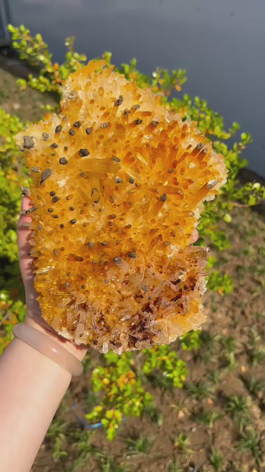 1.75KG Mango Citrine Cluster Natural Raw Crystal Specimen
