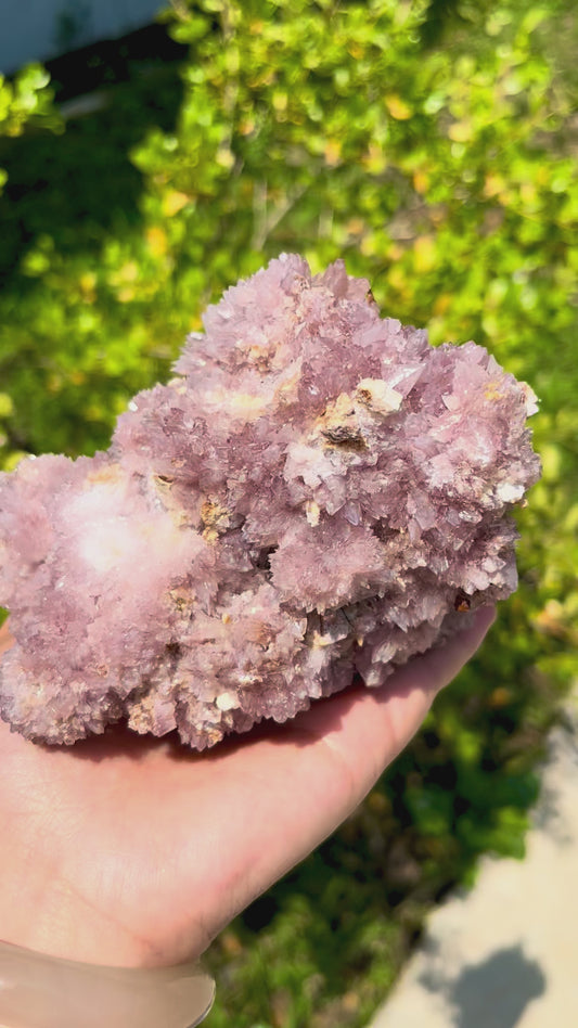 0.7KG South Africa Cactus Amethyst Raw Specimen