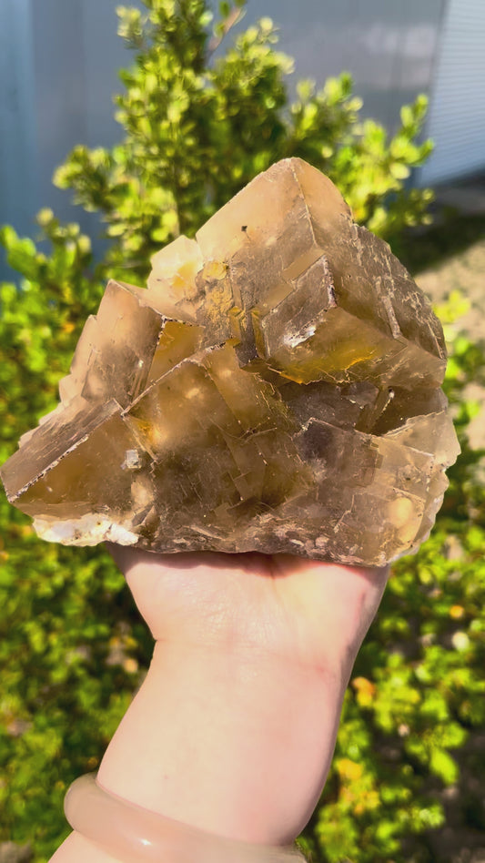 1.05KG Natural Cubic Yellow Fluorite Raw Crystal Specimen