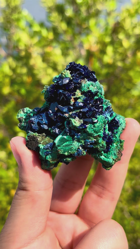0.1KG Premium Azurite Symbiotic Malachite Mineral Specimen