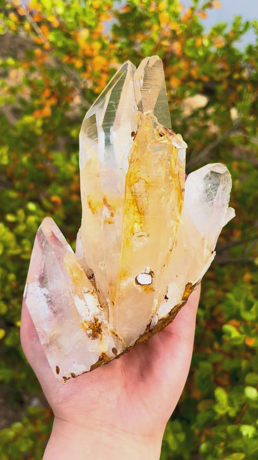 Natural Raw Citrine Quartz Cluster Bulk 0.5kg Home Spiritual Decor